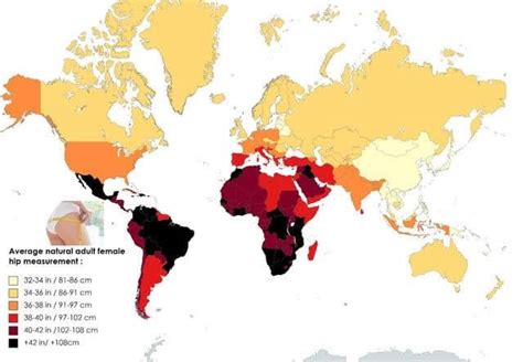 average booty size|Women’s butt sizes around the world revealed